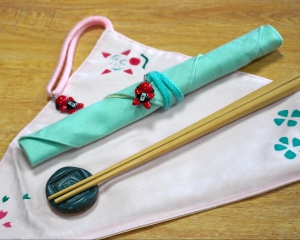 Chopsticks & Case